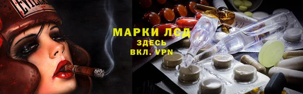 хмурый Алзамай