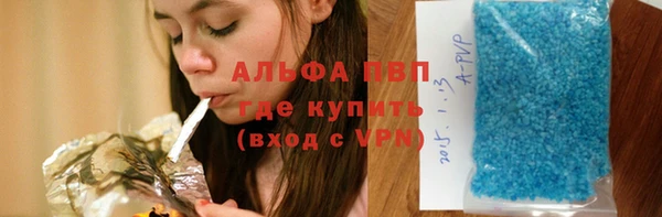 хмурый Алзамай