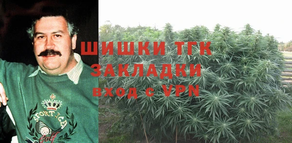ГАЛЛЮЦИНОГЕННЫЕ ГРИБЫ Алексин