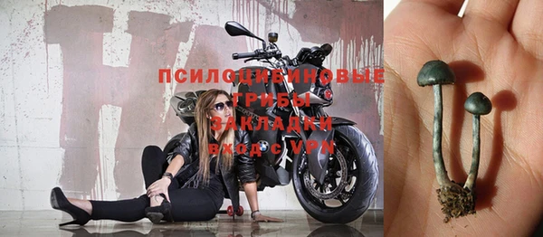 синтетический гашиш Алексеевка